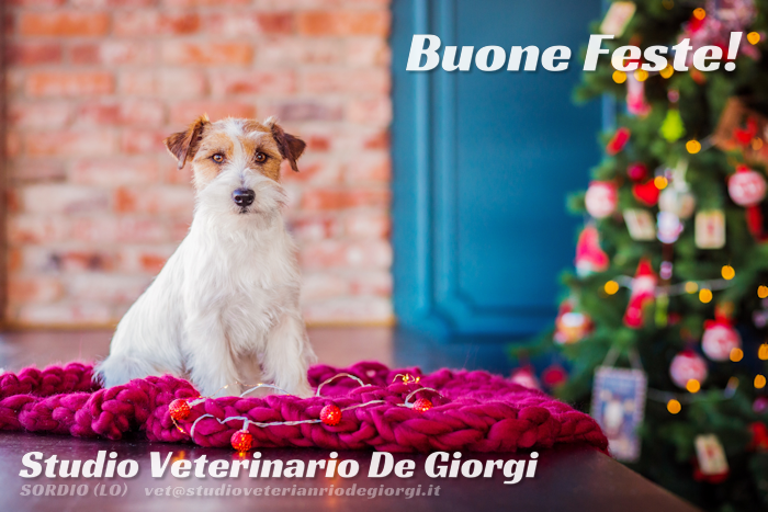 Buone feste!